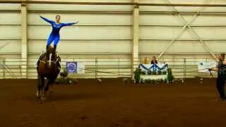 American Vaulting Championship  Gymnastics On Horseback  4 [upl. by Ymeon]