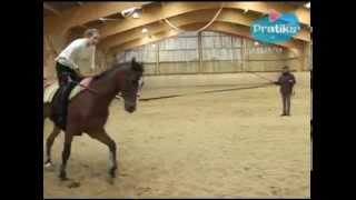 Equestrian Vaulting  What is Equestrian vaulting [upl. by Harold]