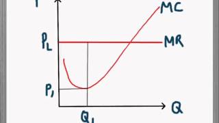 Marginal Cost and Marginal Revenue [upl. by Nylcaj]