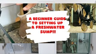 A beginners guide to setting up a freshwater sump [upl. by Reniti]