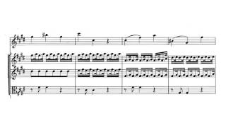 Violin Concerto quotSpring  La Primaveraquot in E major Op 8 No 1  Vivaldi Score [upl. by Alakim447]