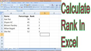 How to Calculate Rank In Excel [upl. by Narmak731]