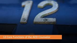 Addictions Counselor Core Skills Part I The 12 Core Functions [upl. by Geer]