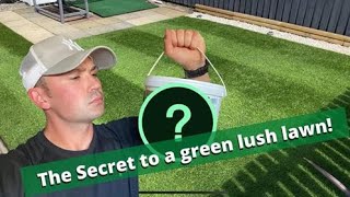 The Secret To a Lush Green Lawn  Iron Sulphate [upl. by Searcy]