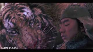 Tiger VS Wolf Fight Scene HD [upl. by Turtle]