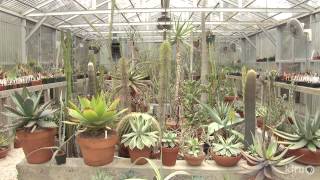 Cactus and succulent garden and greenhouses  Bob Barth  Central Texas Gardener [upl. by Piotr716]