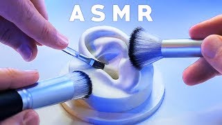 ASMR XXL Brushing amp Brushes ONLY Compilation NO TALKING Tingle Study Sleep Relax [upl. by Philipa847]