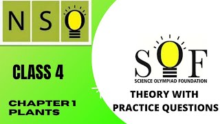 class 4 olympiad  NSO chapter 1 plants  Science olympiad for class 4 [upl. by Arata371]