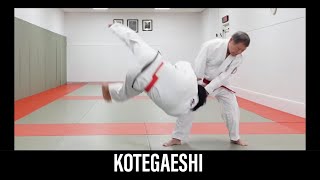 KOTEGAESHI Japanese Jujutsu [upl. by Epperson]