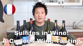 Sulfites in Wine A Curious Wine Tasting [upl. by Idyak]