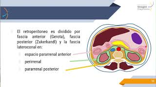 Radiología Básica de Abdomen [upl. by Neruat]