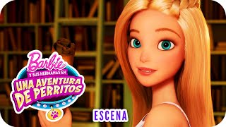 El mito del tesoro enterrado de Willows  Escena  Barbie™ y sus hnas en quotUna aventura de perritosquot [upl. by Maximilianus434]