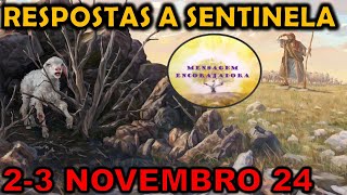 RESPOSTAS A Estudo Sentinela 23 novembro 2024 [upl. by Anni]