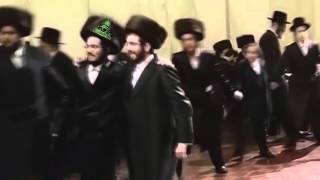 Muslim vs Jewish Dance Off 1 [upl. by Ettegirb11]