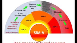 Le système rénie angiotensine [upl. by Norramic]