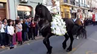 Santa Teresa di Riva Me  Un maestoso cavallo Frisone alla Festa della Primavera [upl. by Nnyleitak]