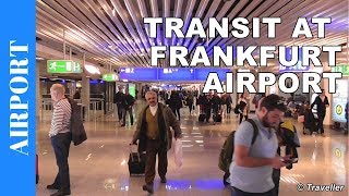 TRANSIT WALK AT FRANKFURT Airport FRA Terminal 1  Connection Flight Transfer Arriving amp Departing [upl. by Teodor]