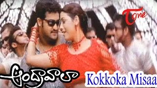 Andhrawala Songs  Kokkoka Misaa  Jr NTR  Rakshita [upl. by Ayatnwahs225]