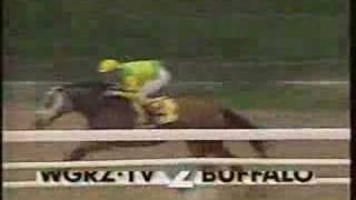 Serenas Song Beldame Stakes 1995  overview [upl. by Rodd]